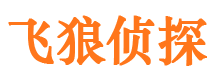 宿州市私家侦探